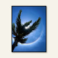 Poster - Messico_04 / Versione unica