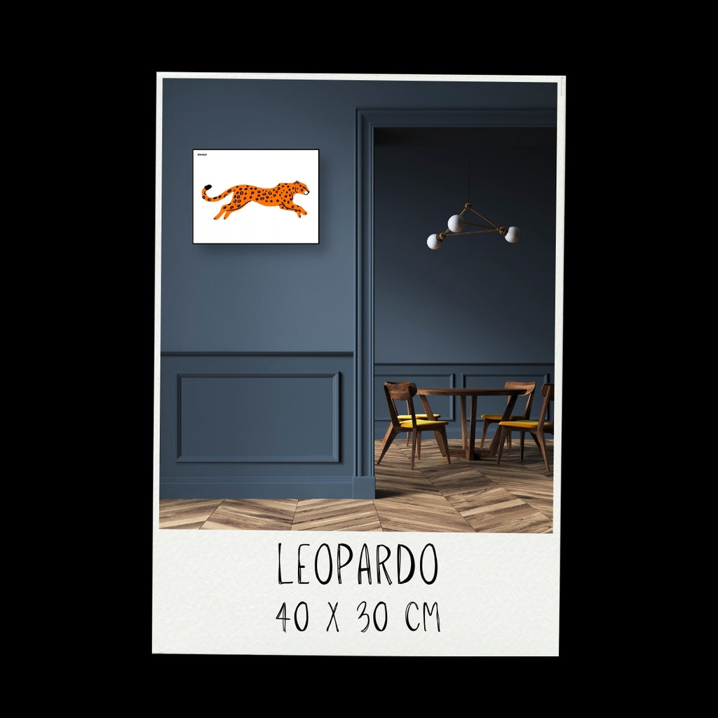Poster - Leopardo / Vari Colori / Sfondo Bianco