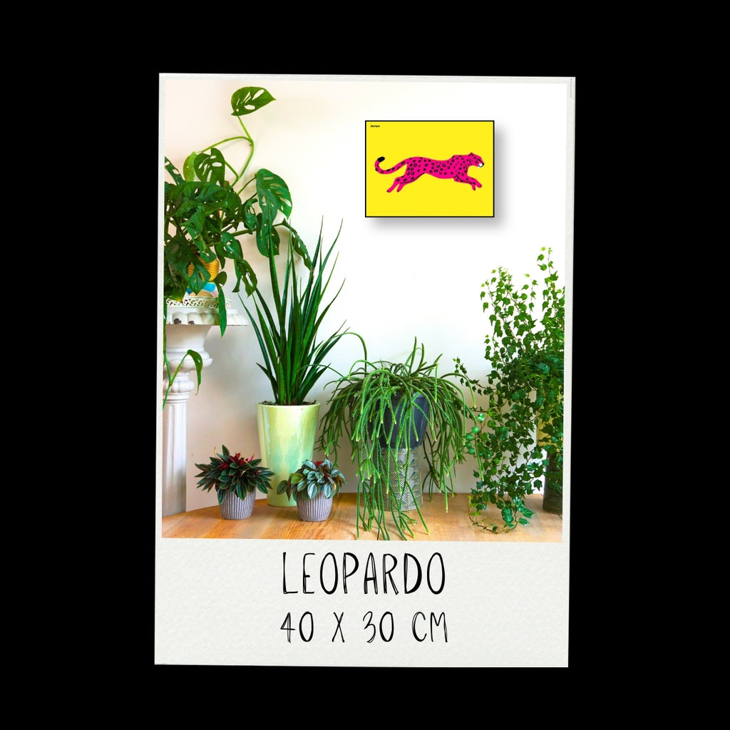 Poster - Leopardo / Vari Colori