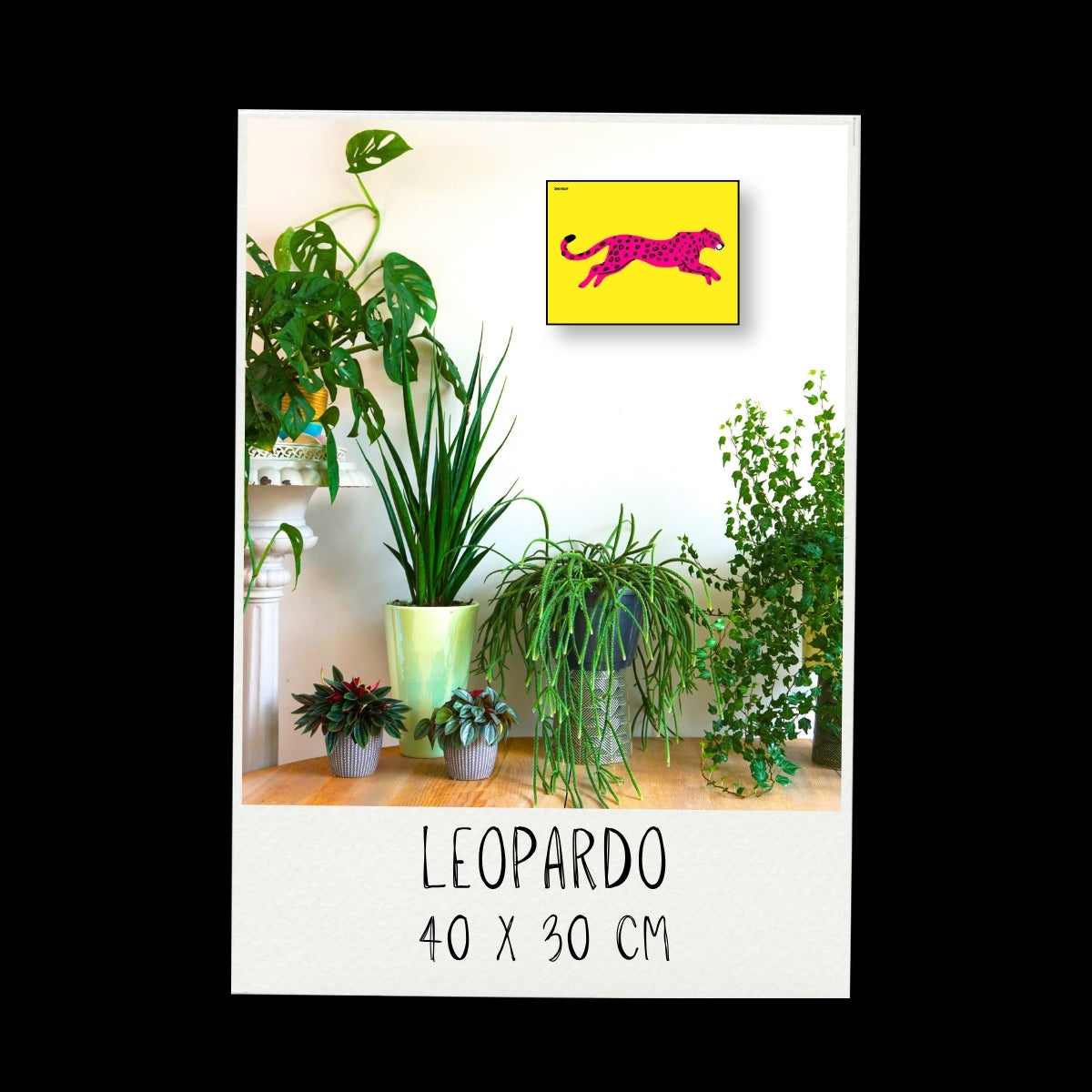 Poster - Leopardo / Vari Colori