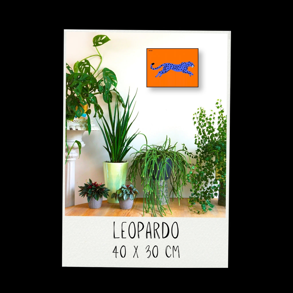 Poster - Leopardo / Vari Colori