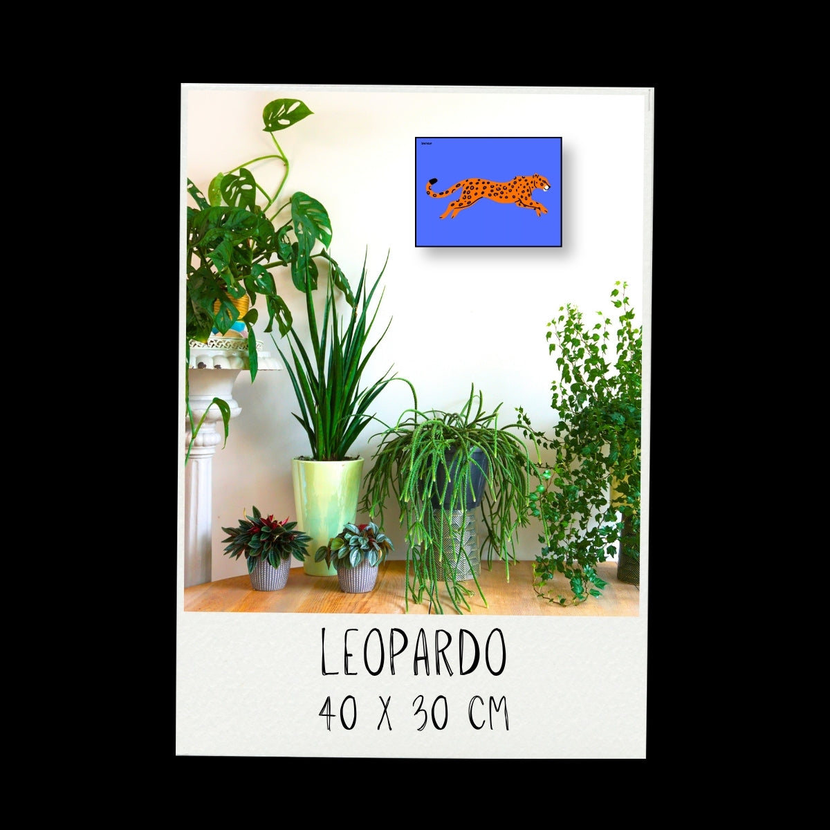 Poster - Leopardo / Vari Colori