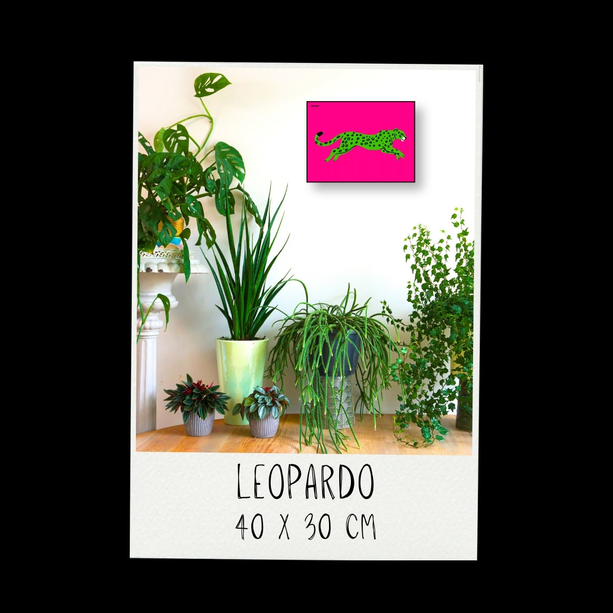 Poster - Leopardo / Vari Colori