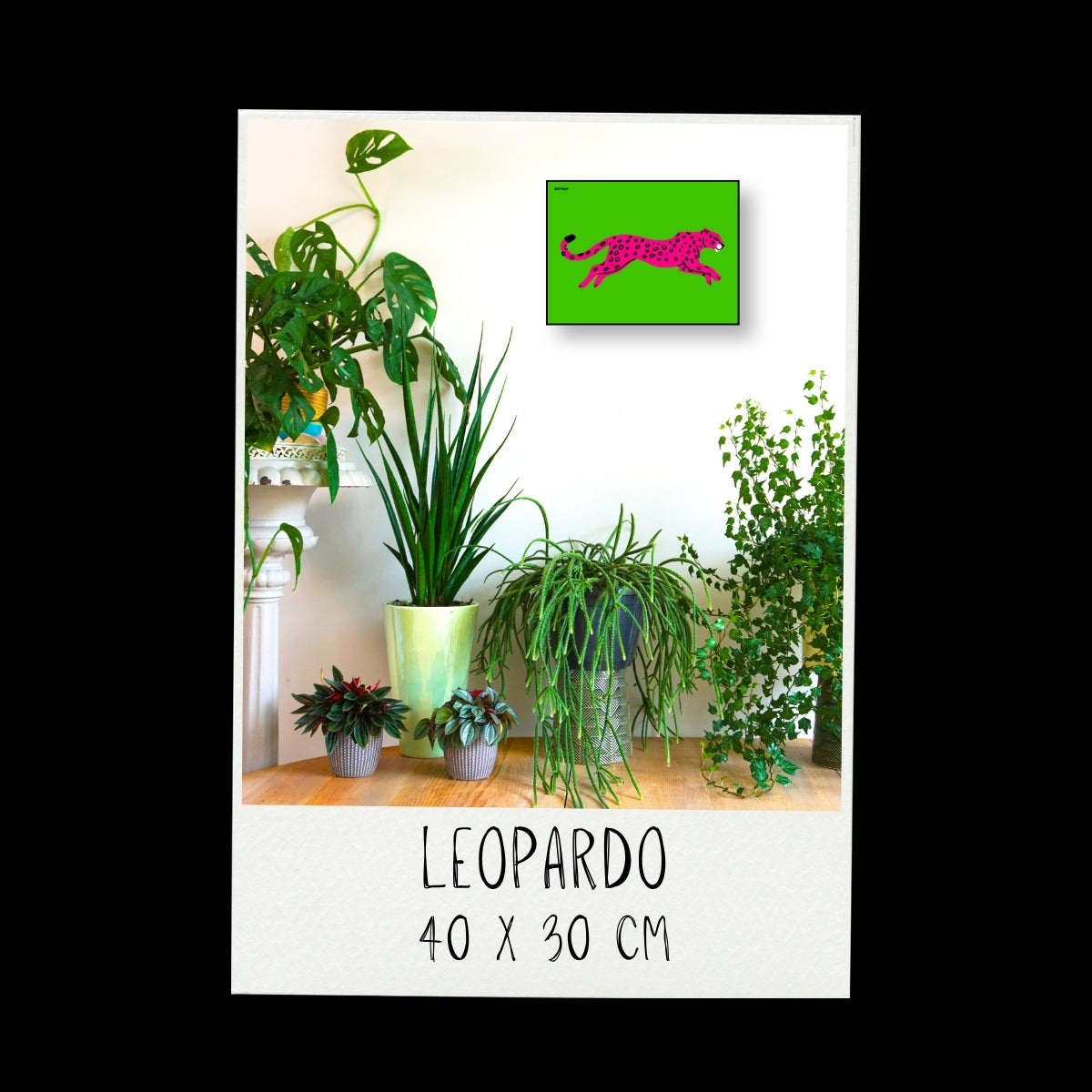Poster - Leopardo / Vari Colori