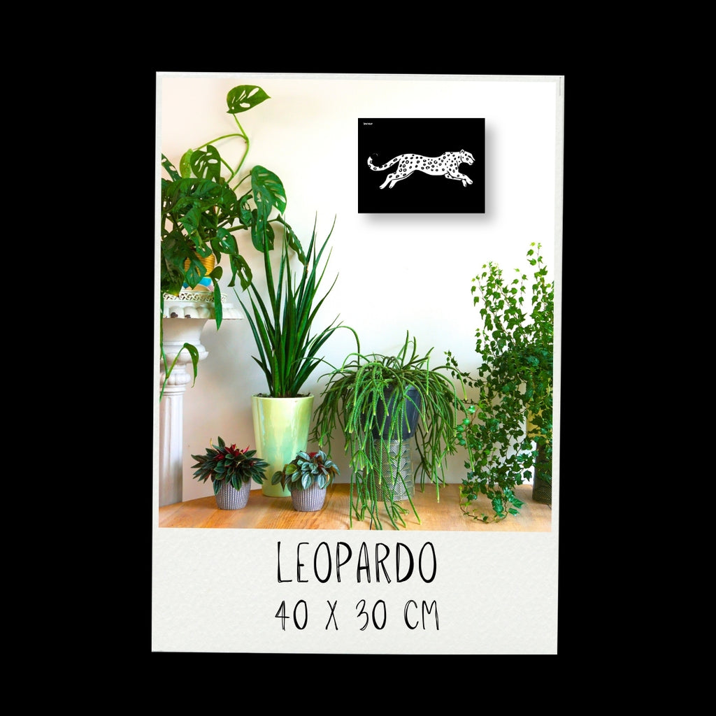 Poster - Leopardo / Vari Colori