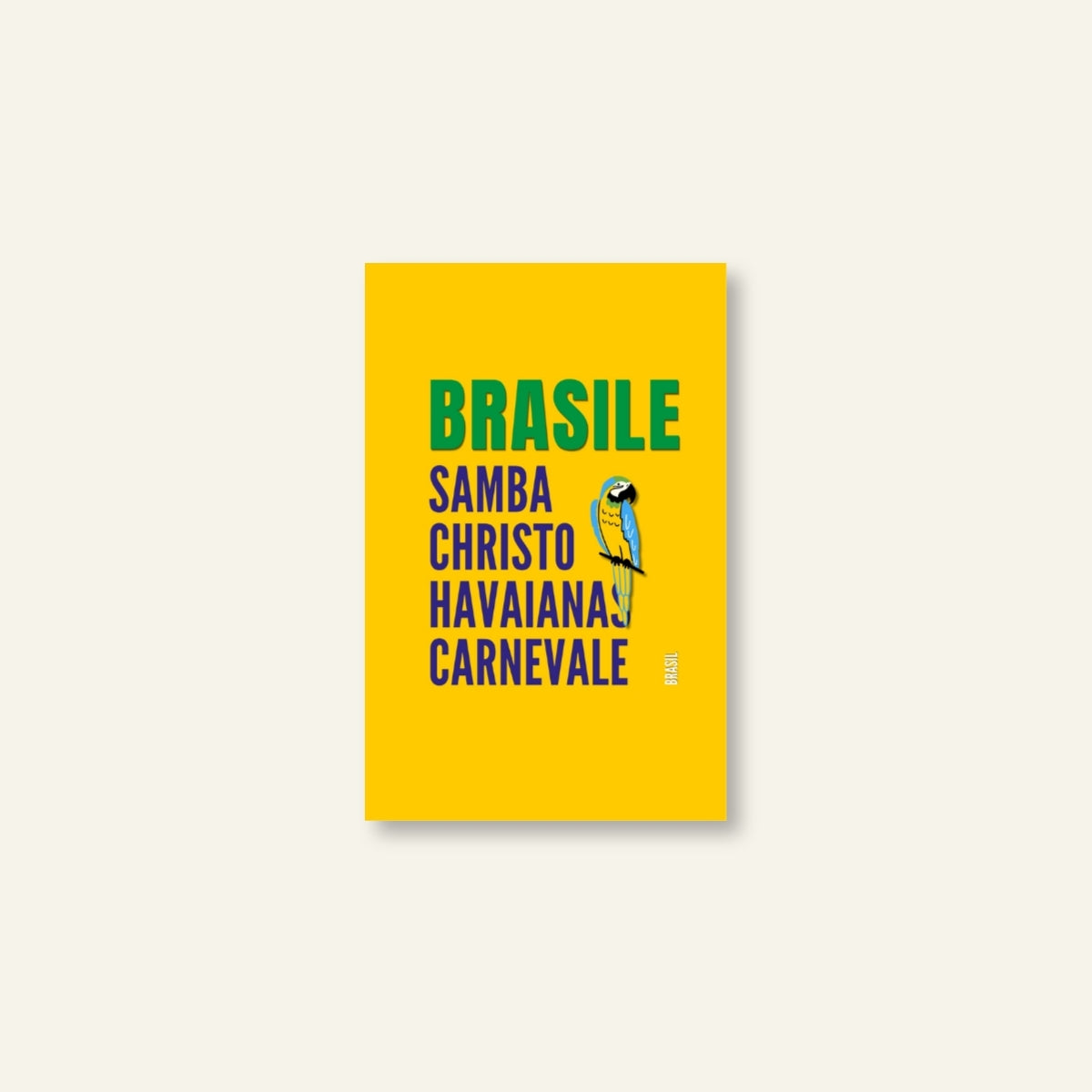 Diario di Viaggio / Brasile_03