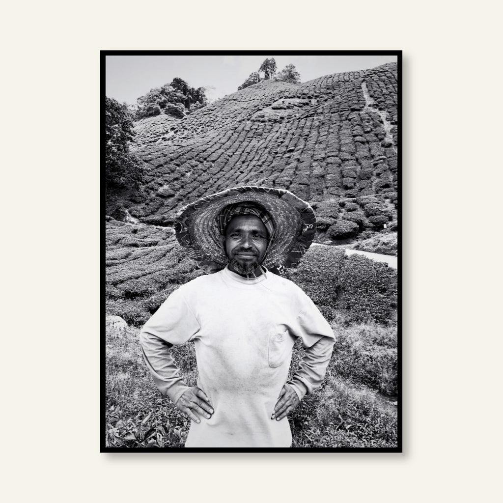 Poster - Malesia_02 / Versione unica