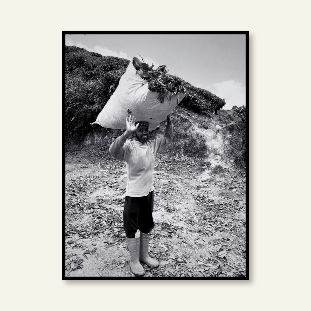 Poster - Malesia_03 / Versione unica