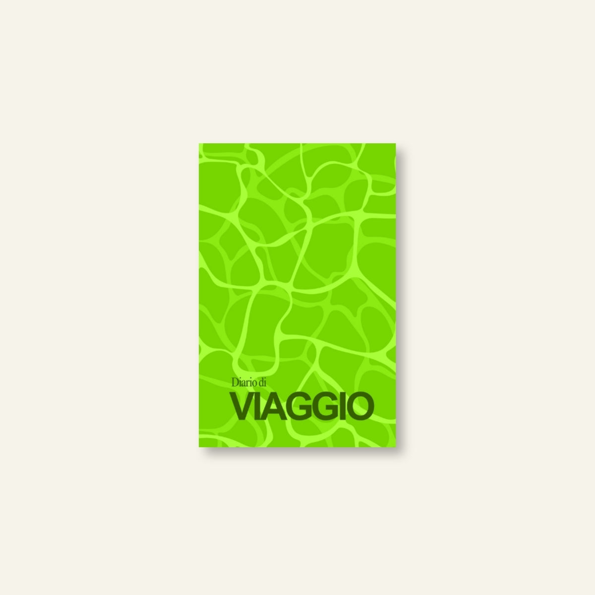 Diario di Viaggio / Riflesso