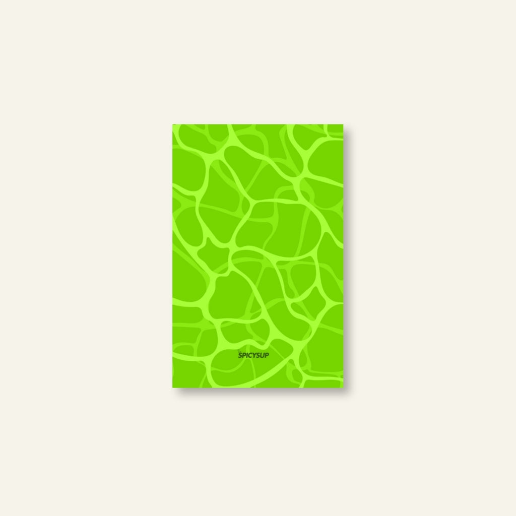 Diario di Viaggio / Riflesso