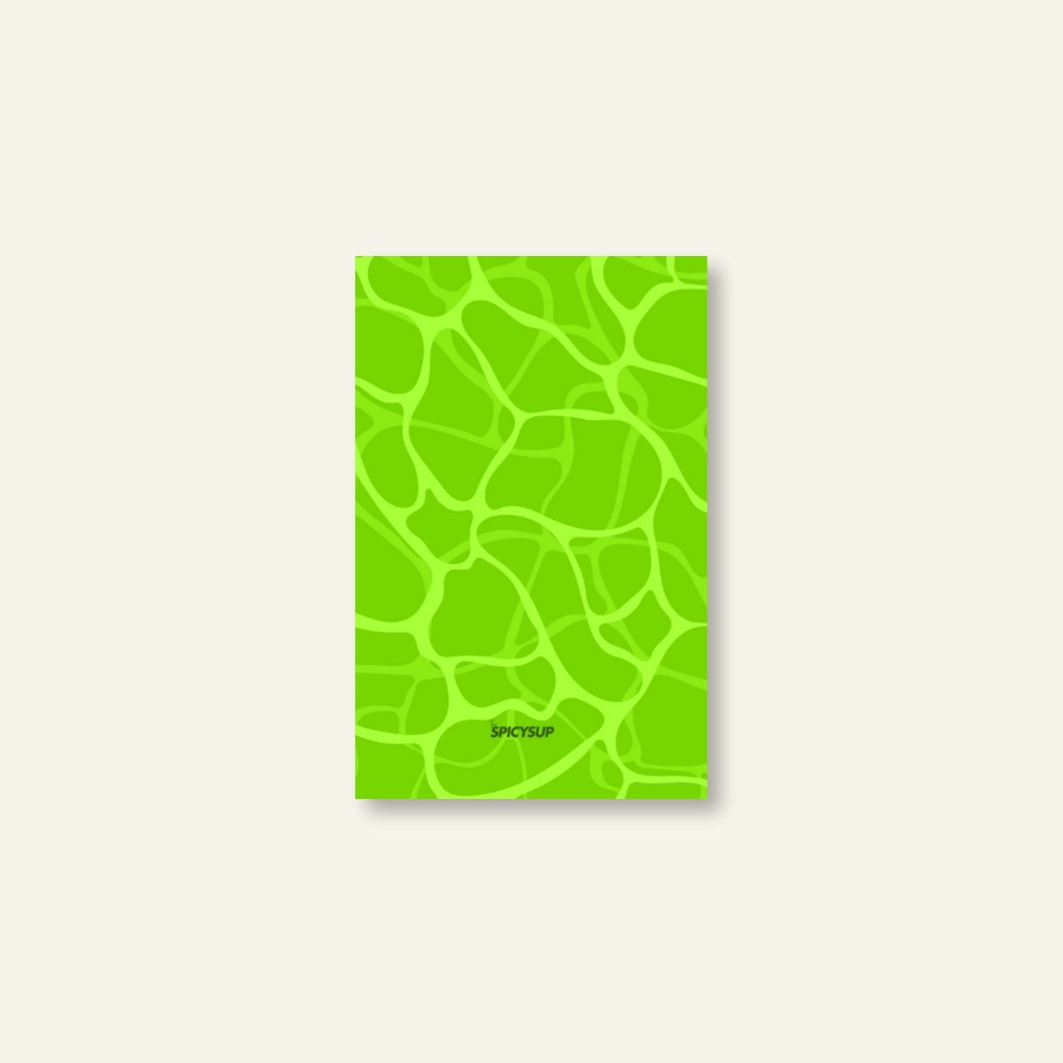 Diario di Viaggio / Riflesso