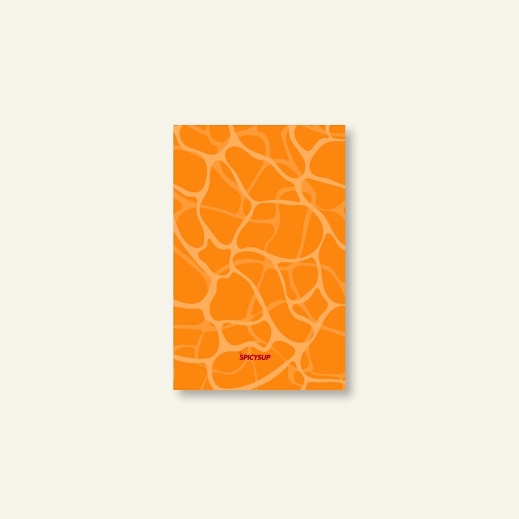 Diario di Viaggio / Riflesso
