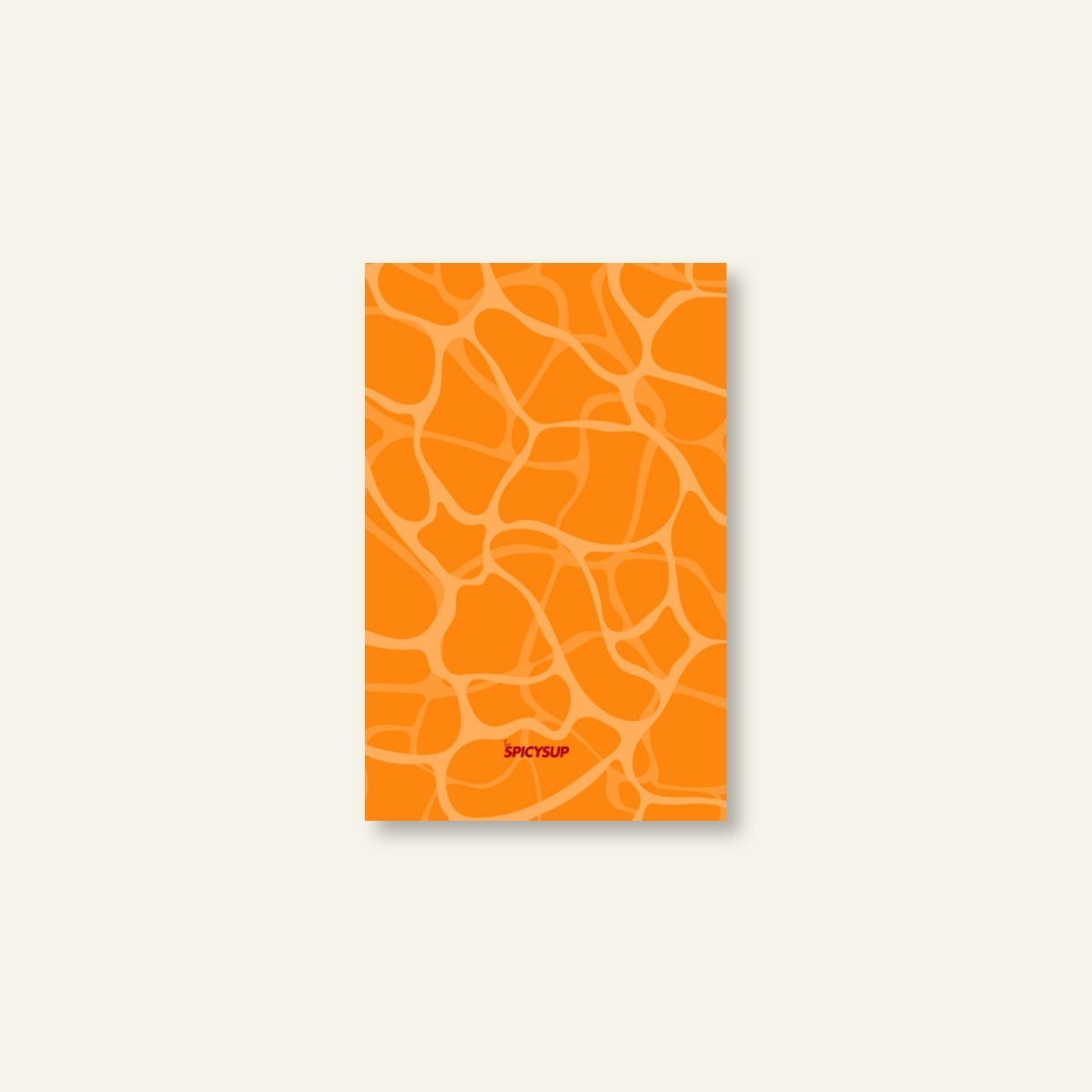 Diario di Viaggio / Riflesso